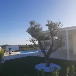 Pantakyas Nyaraló Brucoli